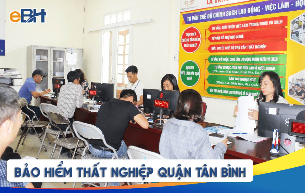 Chi nhánh BHTN Q. Tân Bình hỗ trợ tư vấn việc làm cho người lao động