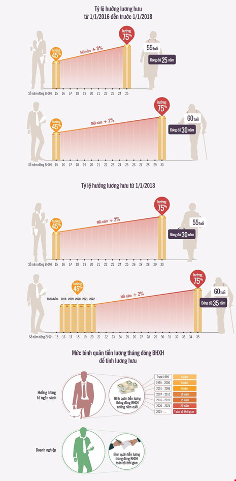 infographic về tỷ lệ hưởng lương hưu