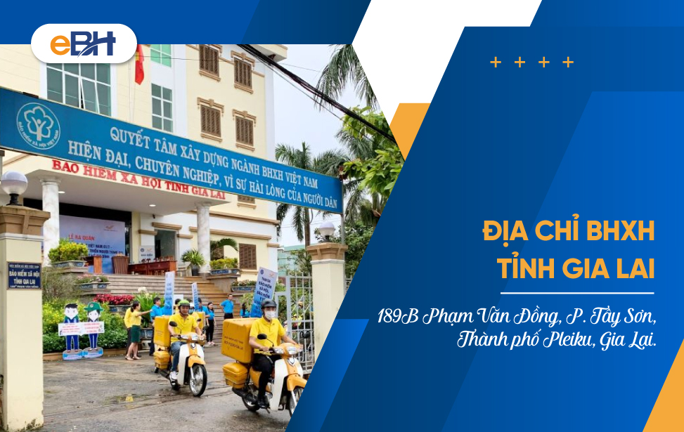 Thông tin liên hệ cơ quan Bảo hiểm xã hội tỉnh Gia Lai