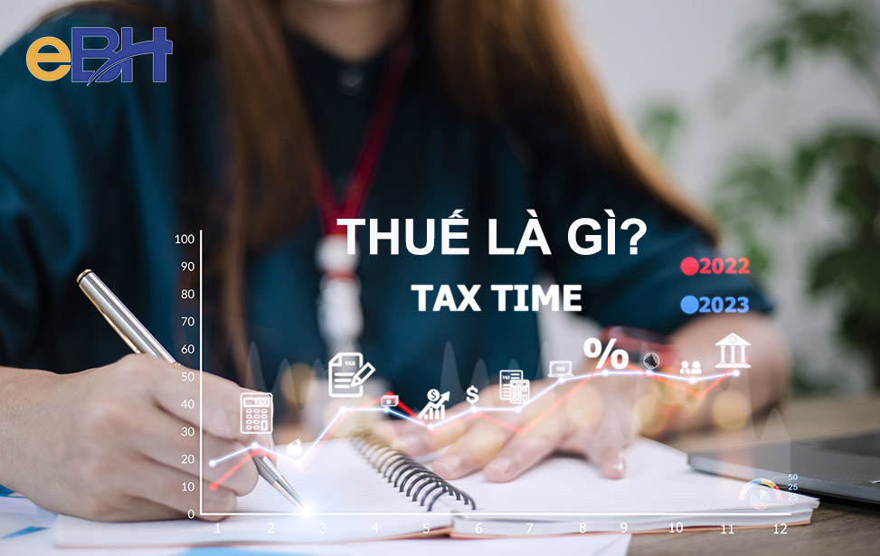 Thuế là gì? Các loại thuế và đặc trưng của thuế tại Việt Nam